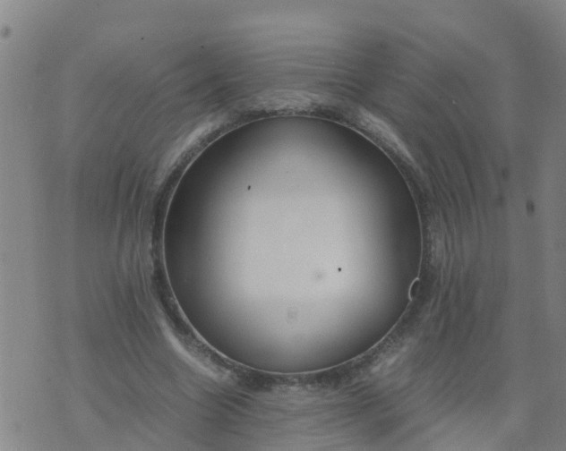 X0000074330538200609082034