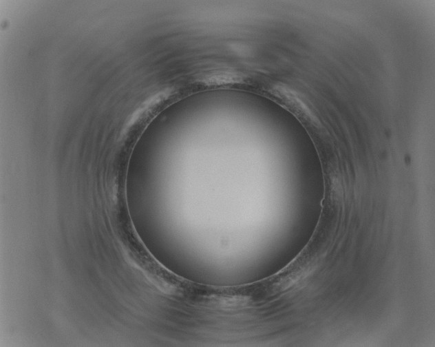 X0000074330539200609082034