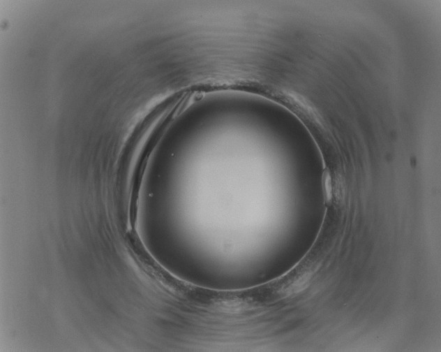 X0000074330540200609082035