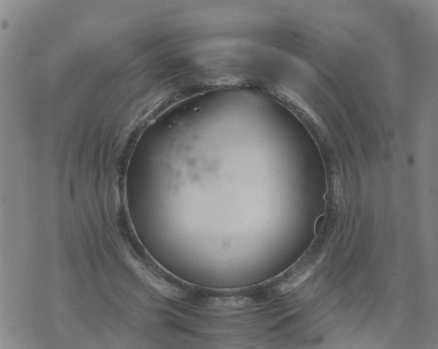 X0000074330541200609082035