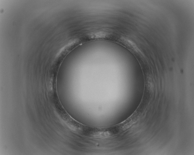 X0000074330543200609082035