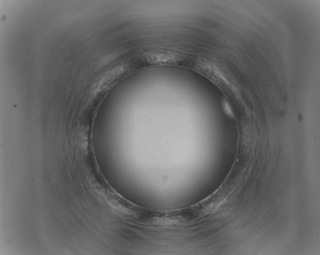 X0000074330545200609082035