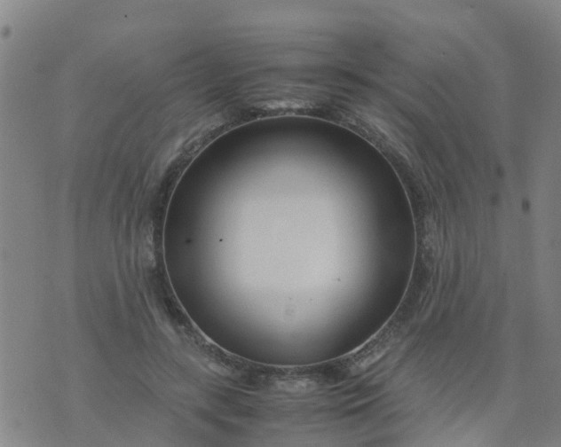 X0000074330547200609082035