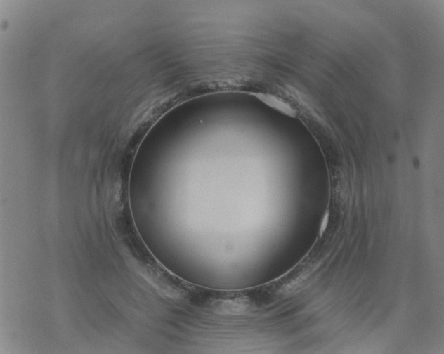 X0000074330548200609082035