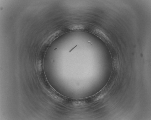 X0000074330549200609082035