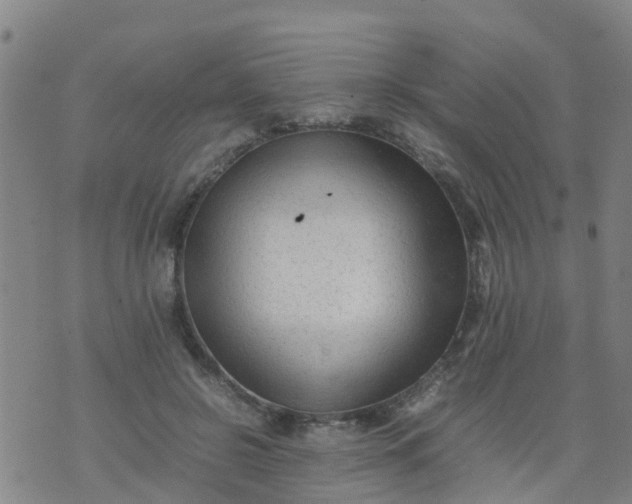 X0000074330550200609082035