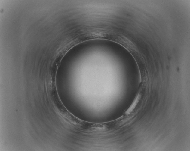 X0000074330552200609082035