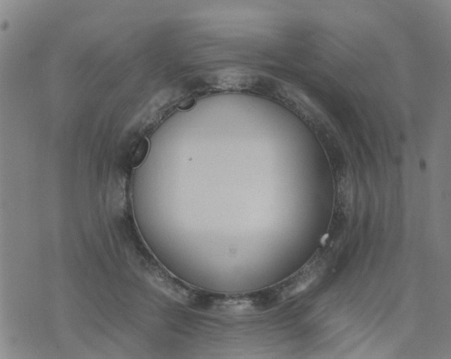 X0000074330554200609082035