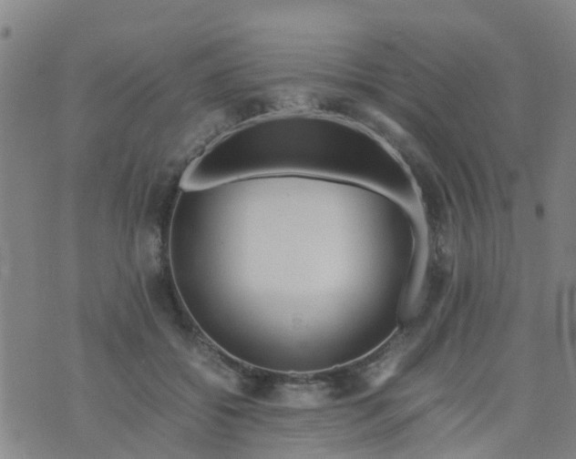 X0000074330556200609082035