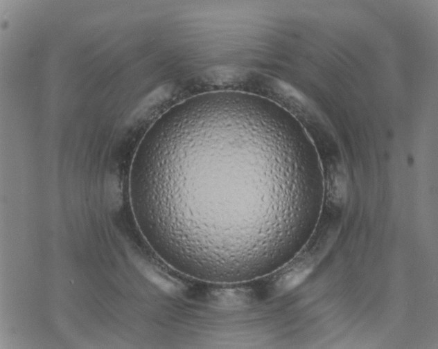 X0000074330558200609082035