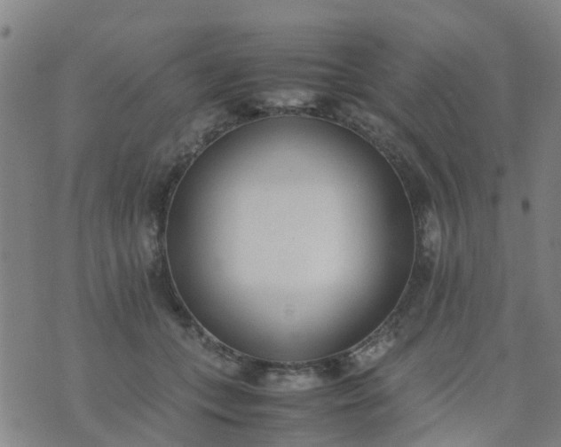 X0000074330559200609082035