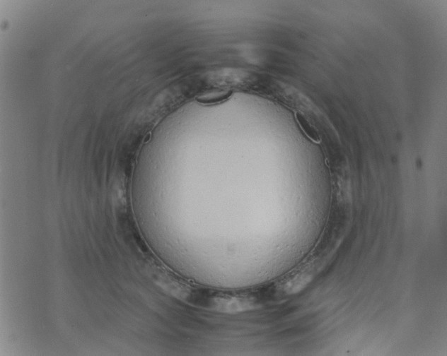 X0000074330561200609082035