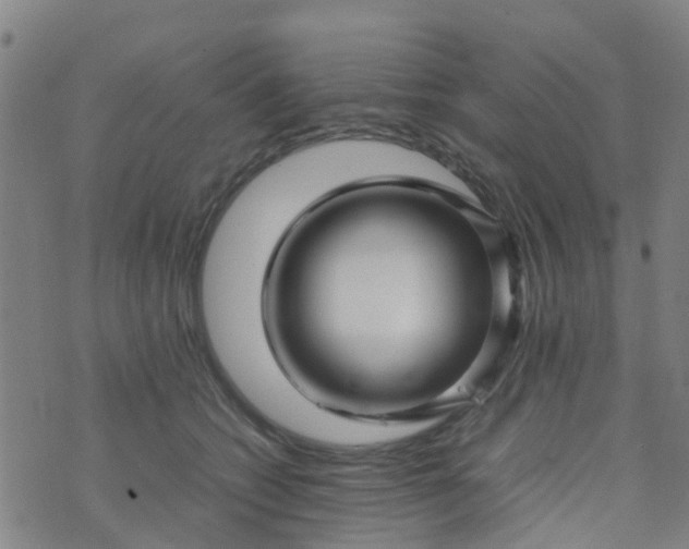 X0000074330562200609082035