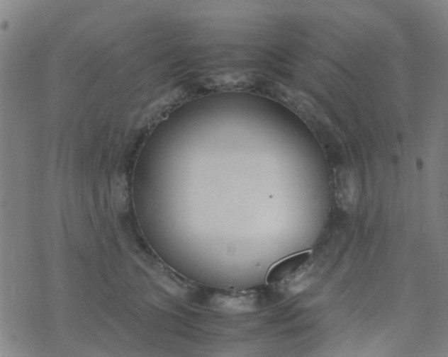 X0000074330563200609082035