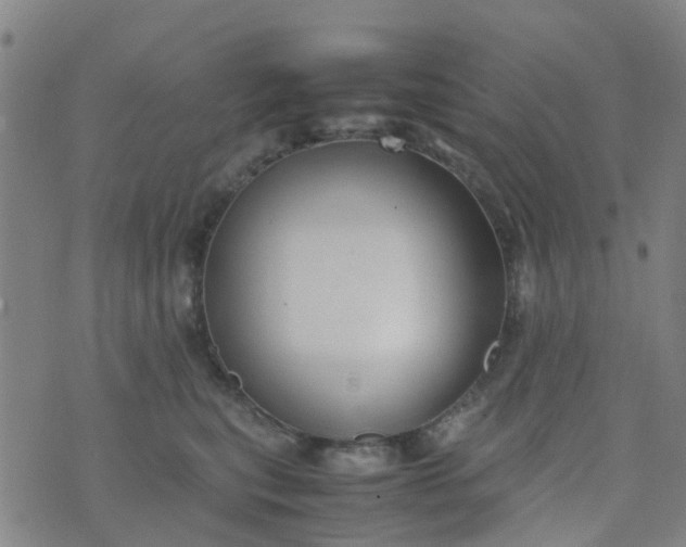 X0000074330567200609082035