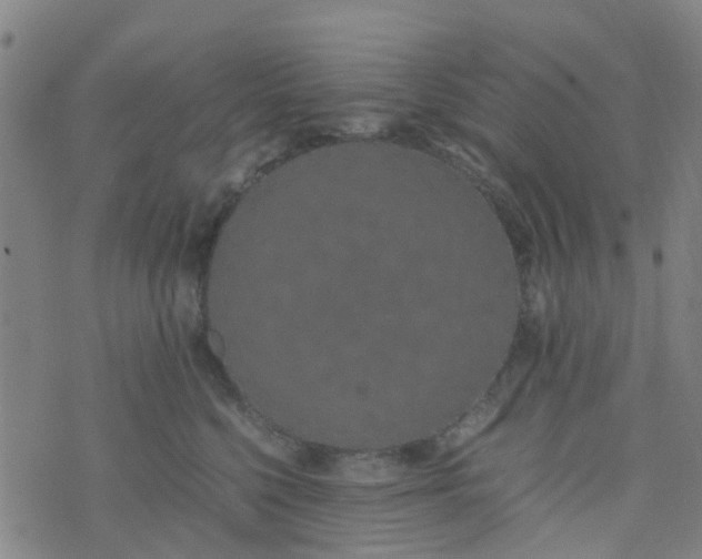 X0000074330568200609082035