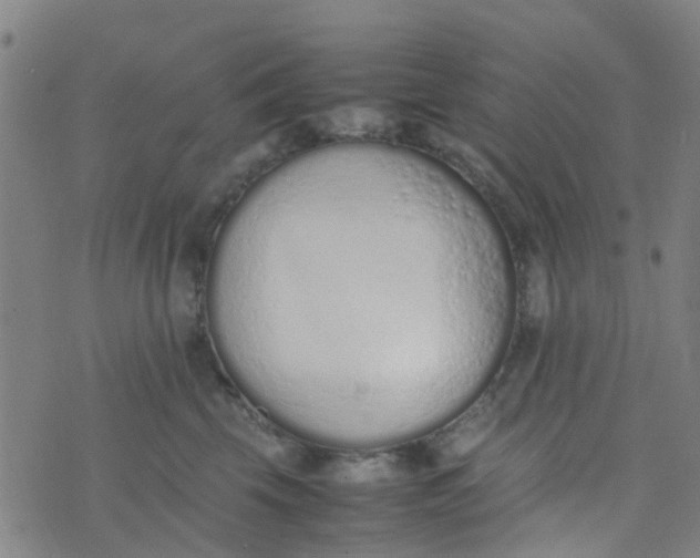 X0000074330569200609082035