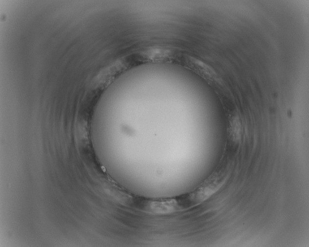 X0000074330571200609082035