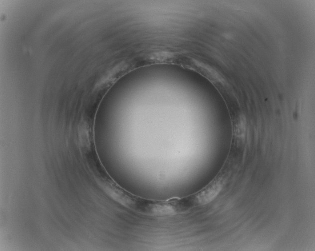 X0000074330572200609082035