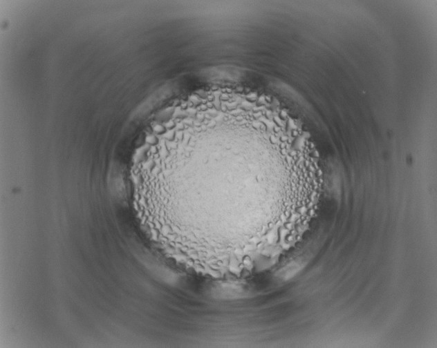 X0000074330573200609082035