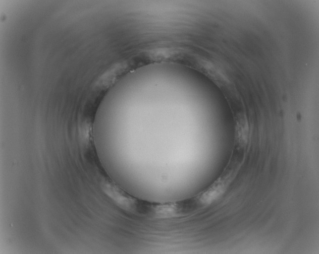 X0000074330574200609082035