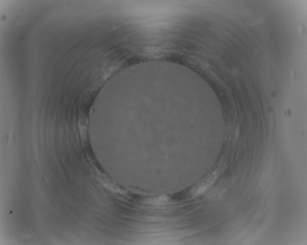 X0000074330576200609082035