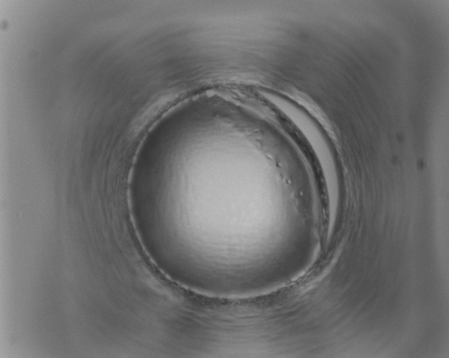 X0000074330577200609082034