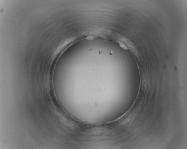 X0000074330578200609082034