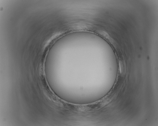 X0000074330579200609082034