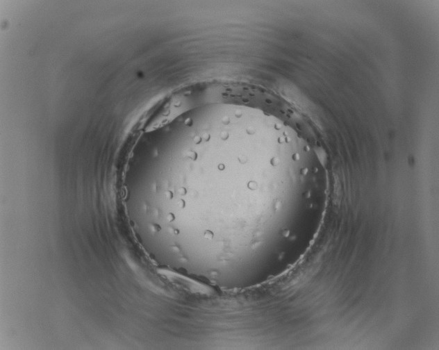 X0000074330580200609082034