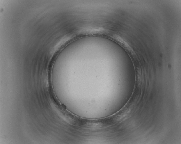 X0000074330582200609082034