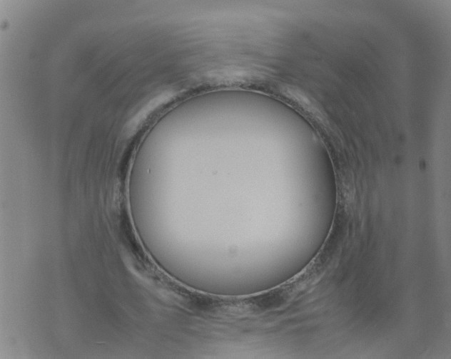 X0000074330583200609082034