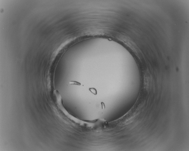 X0000074330584200609082034