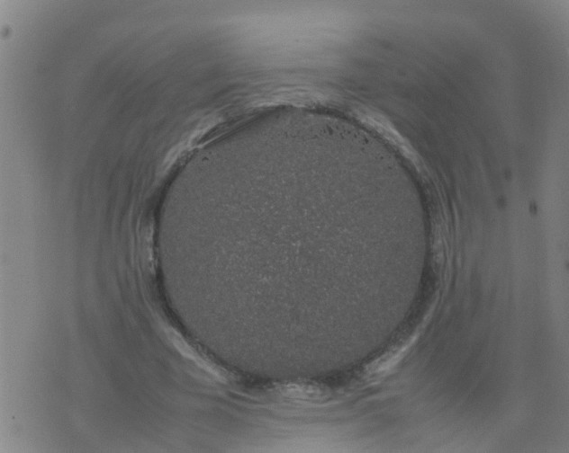 X0000074330585200609082034