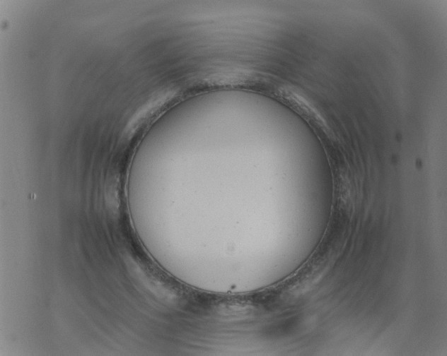 X0000074330586200609082034