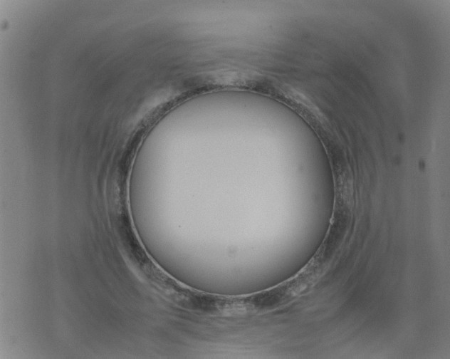 X0000074330587200609082034