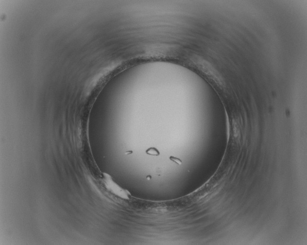 X0000074330588200609082034