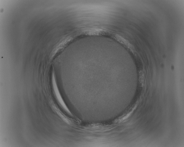 X0000074330589200609082034