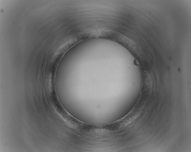 X0000074330590200609082034