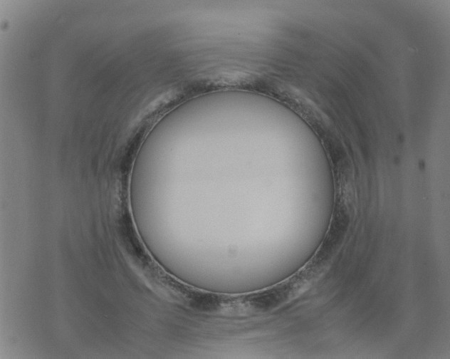 X0000074330591200609082034