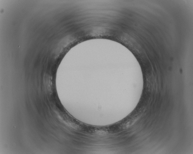 X0000074330592200609082034