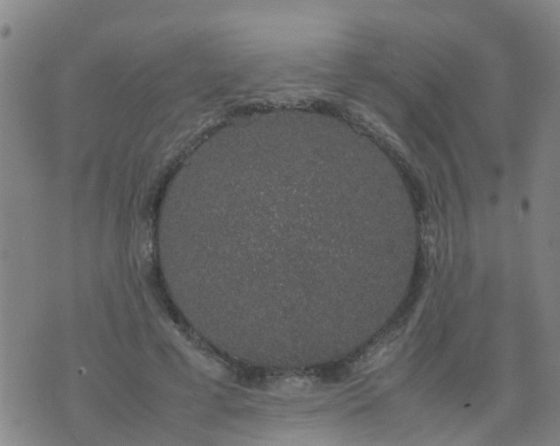 X0000074330593200609082034