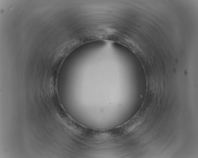 X0000074330594200609082034