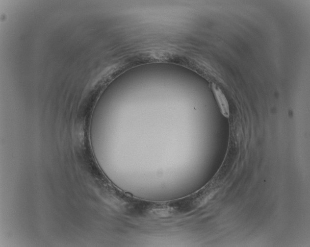 X0000074330595200609082034