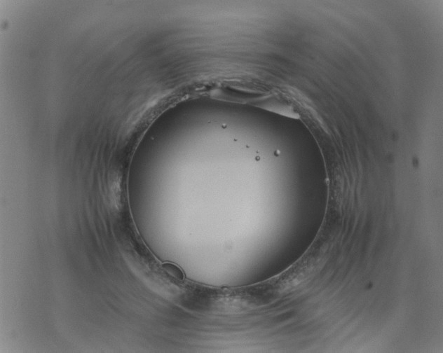 X0000074330596200609082034