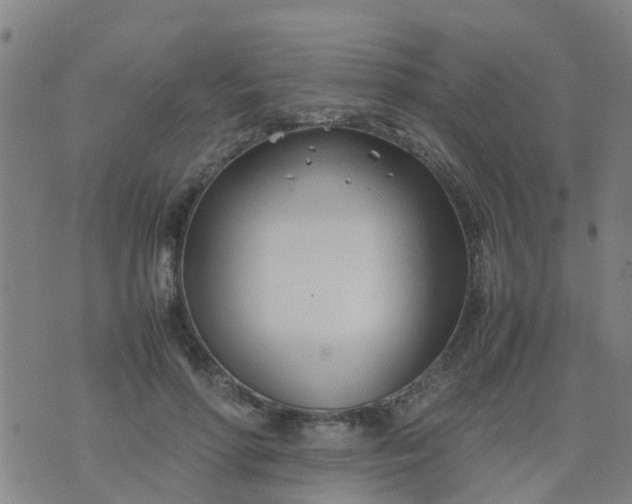 X0000074330598200609082034