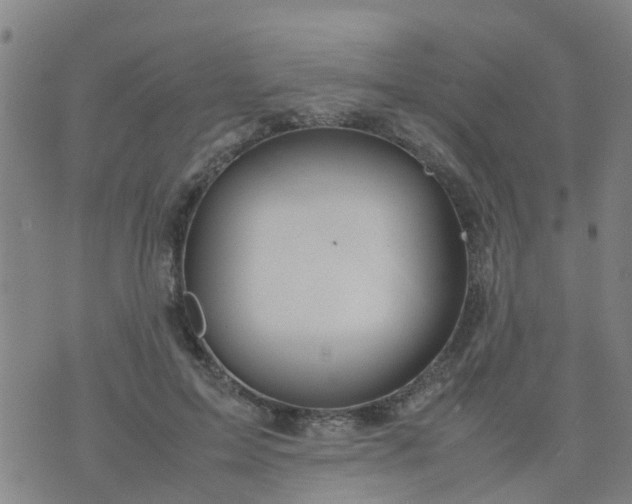 X0000074330599200609082034