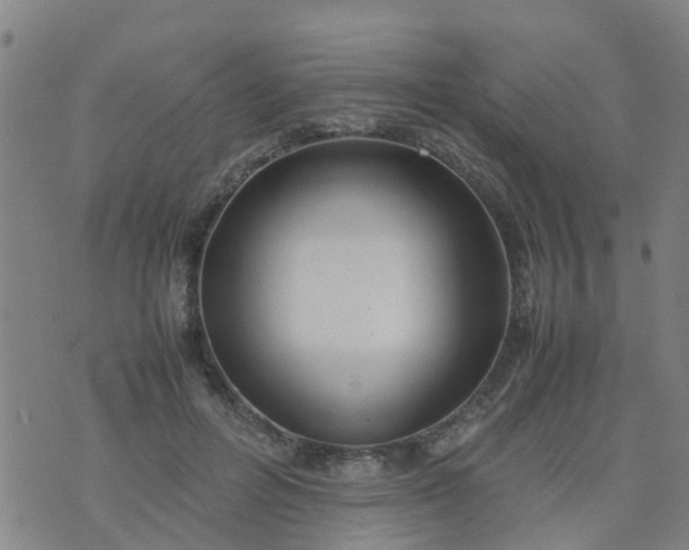 X0000074330600200609082034