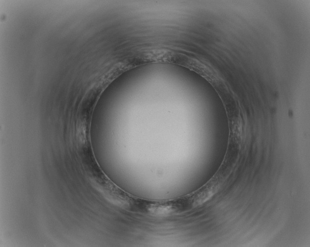 X0000074330602200609082034