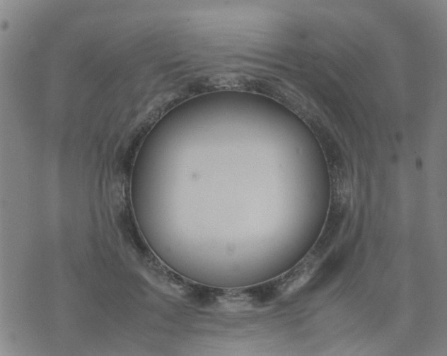 X0000074330603200609082034